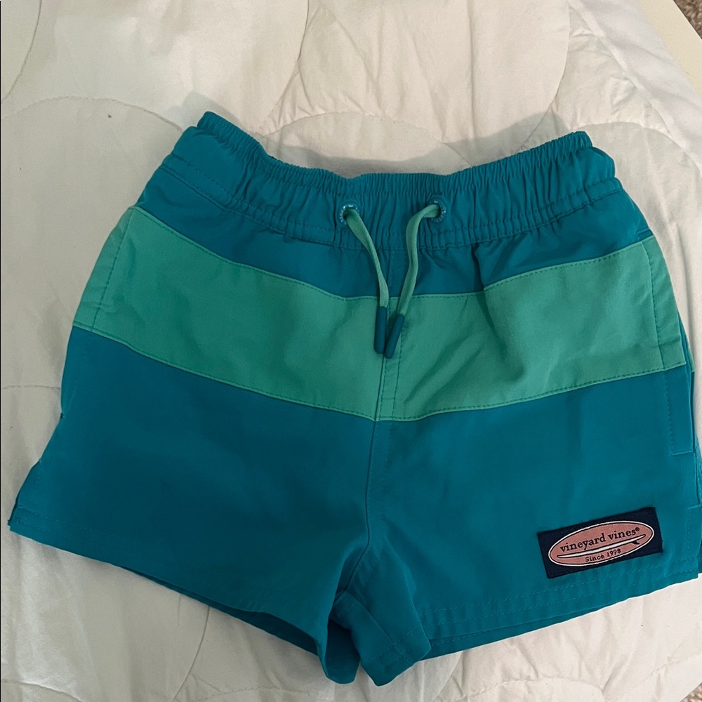 Vineyard Vines Aqua and Turquoise Swim Trunk 2T Boys